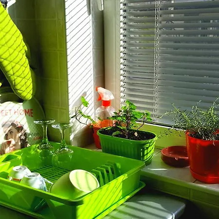 Greenfield * Belgrado